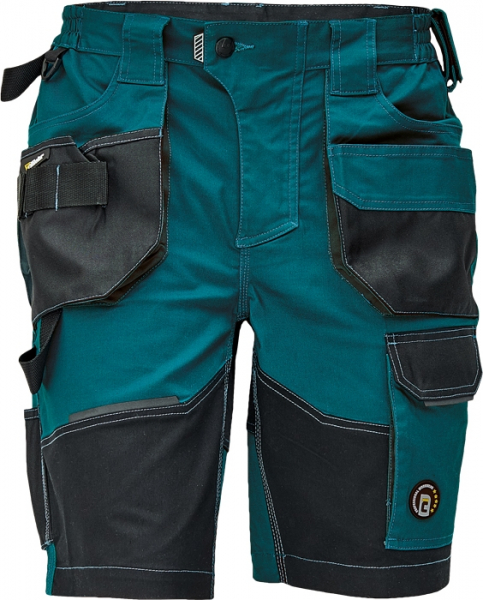 DAYBORO shorts