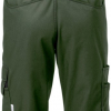 Men's bibpants Fristad 129486 (1555 STFP)