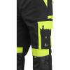 Men's pants Sirius Brighton 