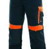Men's pants Sirius Brighton 