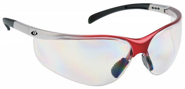 Aizsargbrilles Rozelle, caurspidīgas 05010363