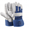 Smooth cowhide gloves with blue cotton top, ACTIVE STRONG S6190 ACTIVE GEAR