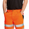 Vīriešu šorti Knoxfield Hi-Vis  03100021